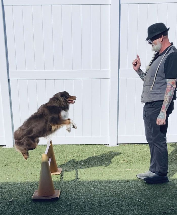 dog trainer teaching a dog at happy camper